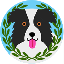 Apollo Inu logo