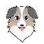 Australian Safe Shepherd logo