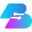 Basis Dollar Share logo