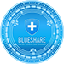 Blueshare Token logo