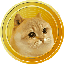 Catge coin logo
