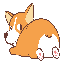 CorgiCoin logo