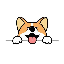 Corgidoge real estate payment logo