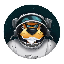 Chester.Moon logo