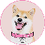 DogeGF logo
