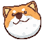 DogeMoon logo