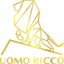 Dragonbit logo