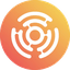 DomRaider logo