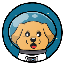 MoonRetriever logo