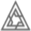 Force For Fast logo