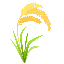 Grain logo