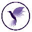 HummingBird Finance logo