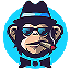 Monkey Token logo