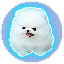 Mini Kishu logo
