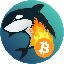 MetaWhale BTC logo