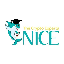 N1CE logo