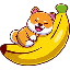 Nano Doge Token logo
