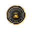 OBIC logo