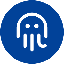 Octopus Network logo