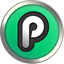 PlayChip logo