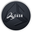 SpeedCash logo