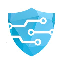 Securypto logo