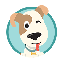 MiniDog Finance logo