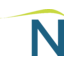 Northeast Bank logo