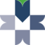 BMV (Bolsa Mexicana de Valores) logo
