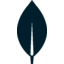 MongoDB logo
