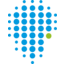 Ituran logo